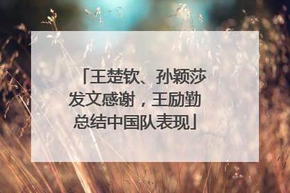 王楚钦、孙颖莎发文感谢，王励勤总结中国队表现