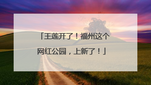 王莲开了！福州这个网红公园，上新了！