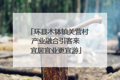 环县木钵镇关营村 产业融合引客来 宜居宜业更宜游