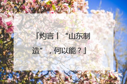 灼言丨“山东制造”，何以能？