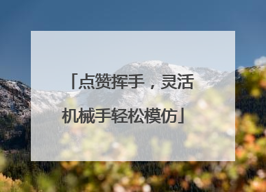 点赞挥手，灵活机械手轻松模仿