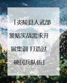 炎陵县人武部紧贴实战需求开展集训 打造过硬民兵队伍