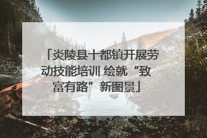 炎陵县十都镇开展劳动技能培训 绘就“致富有路”新图景