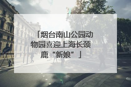 烟台南山公园动物园喜迎上海长颈鹿“新娘”