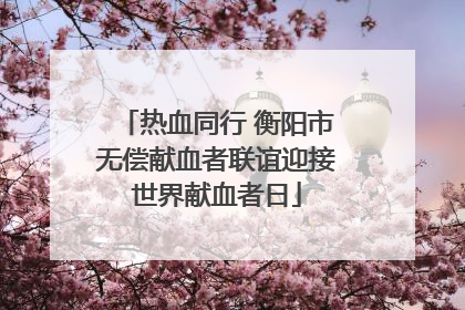 热血同行 衡阳市无偿献血者联谊迎接世界献血者日