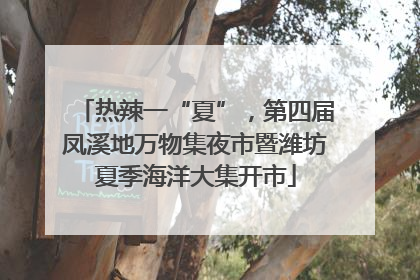 热辣一“夏”，第四届凤溪地万物集夜市暨潍坊夏季海洋大集开市