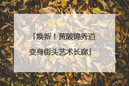 焕新！黄陂锦秀道变身街头艺术长廊