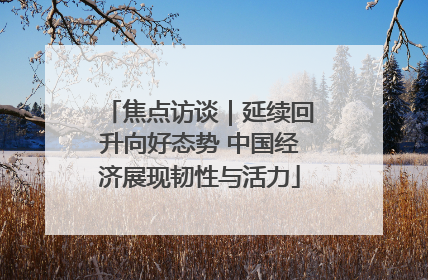 焦点访谈｜延续回升向好态势 中国经济展现韧性与活力