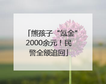熊孩子“氪金”2000余元！民警全额追回