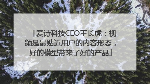 爱诗科技CEO王长虎：视频是最贴近用户的内容形态，好的模型带来了好的产品