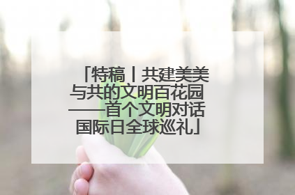 特稿丨共建美美与共的文明百花园——首个文明对话国际日全球巡礼