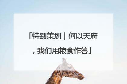 特别策划｜何以天府，我们用粮食作答