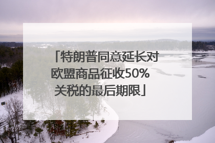 特朗普同意延长对欧盟商品征收50%关税的最后期限