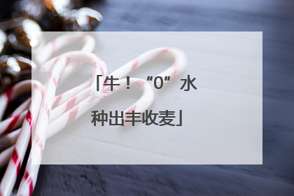 牛！“0”水种出丰收麦