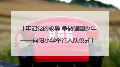 牢记党的教导 争做强国少年——向阳小学举行入队仪式