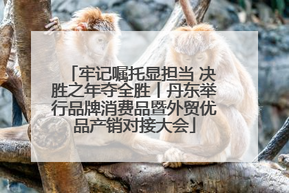 牢记嘱托显担当 决胜之年夺全胜丨丹东举行品牌消费品暨外贸优品产销对接大会