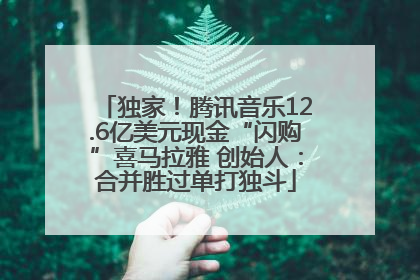 独家！腾讯音乐12.6亿美元现金“闪购”喜马拉雅 创始人：合并胜过单打独斗