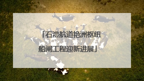 石澧航道艳洲枢纽船闸工程迎新进展