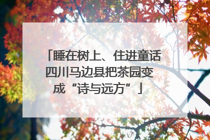 睡在树上、住进童话 四川马边县把茶园变成“诗与远方”