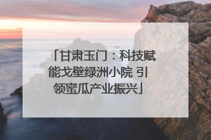 甘肃玉门：科技赋能戈壁绿洲小院 引领蜜瓜产业振兴