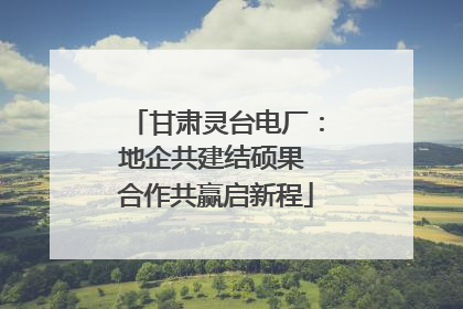 甘肃灵台电厂：地企共建结硕果 合作共赢启新程