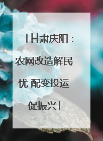 甘肃庆阳：农网改造解民忧 配变投运促振兴