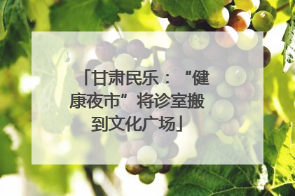 甘肃民乐：“健康夜市”将诊室搬到文化广场