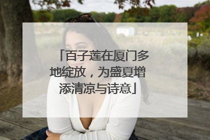 百子莲在厦门多地绽放，为盛夏增添清凉与诗意