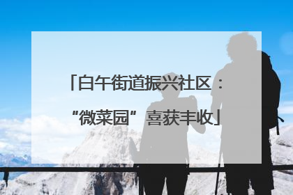 白午街道振兴社区：“微菜园”喜获丰收