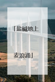 盐碱地上麦浪涌