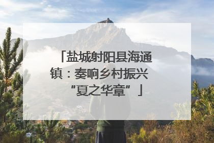 盐城射阳县海通镇：奏响乡村振兴“夏之华章”