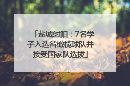 盐城射阳：7名学子入选省橄榄球队并接受国家队选拔