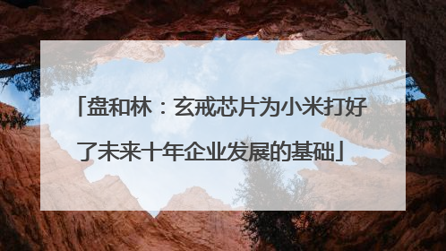 盘和林：玄戒芯片为小米打好了未来十年企业发展的基础