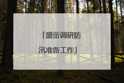 盛蕾调研防汛准备工作