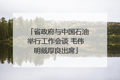 省政府与中国石油举行工作会谈 毛伟明戴厚良出席