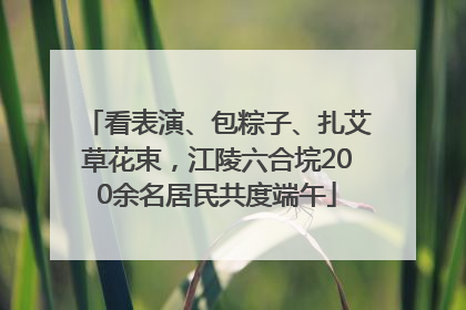 看表演、包粽子、扎艾草花束，江陵六合垸200余名居民共度端午