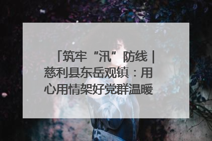 筑牢“汛”防线｜慈利县东岳观镇：用心用情架好党群温暖悠长的“连心桥”