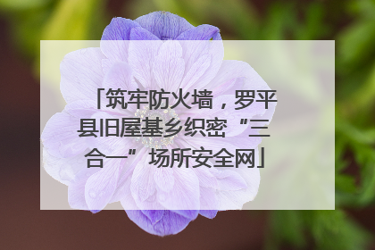 筑牢防火墙，罗平县旧屋基乡织密“三合一”场所安全网