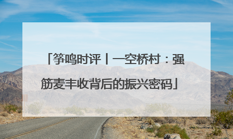 筝鸣时评丨一空桥村：强筋麦丰收背后的振兴密码