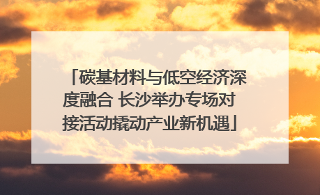 碳基材料与低空经济深度融合 长沙举办专场对接活动撬动产业新机遇