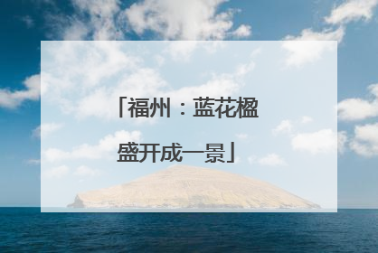 福州：蓝花楹盛开成一景