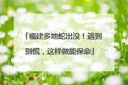 福建多地蛇出没！遇到别慌，这样做能保命