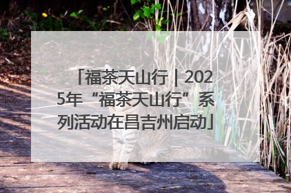 福茶天山行｜2025年“福茶天山行”系列活动在昌吉州启动