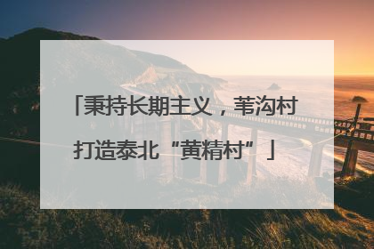 秉持长期主义，苇沟村打造泰北“黄精村”