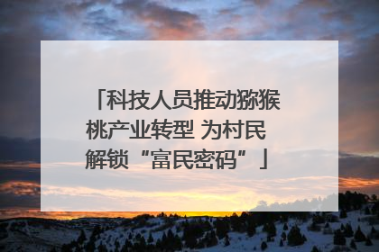 科技人员推动猕猴桃产业转型 为村民解锁“富民密码”