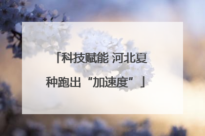 科技赋能 河北夏种跑出“加速度”