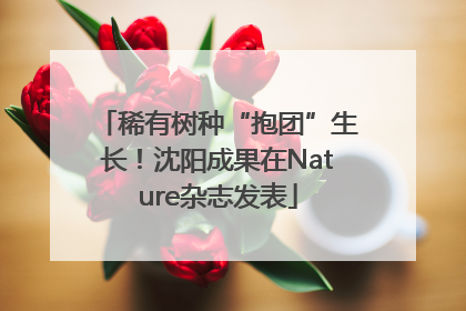 稀有树种“抱团”生长！沈阳成果在Nature杂志发表