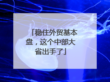稳住外贸基本盘，这个中部大省出手了
