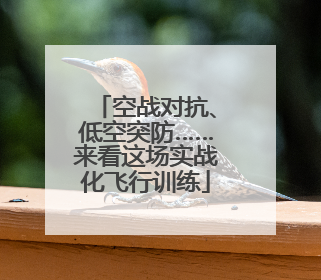 空战对抗、低空突防……来看这场实战化飞行训练