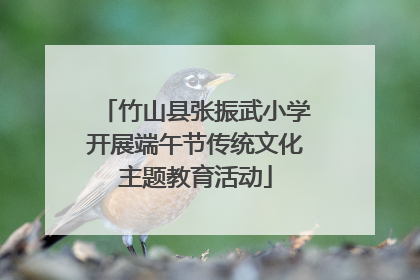 竹山县张振武小学开展端午节传统文化主题教育活动